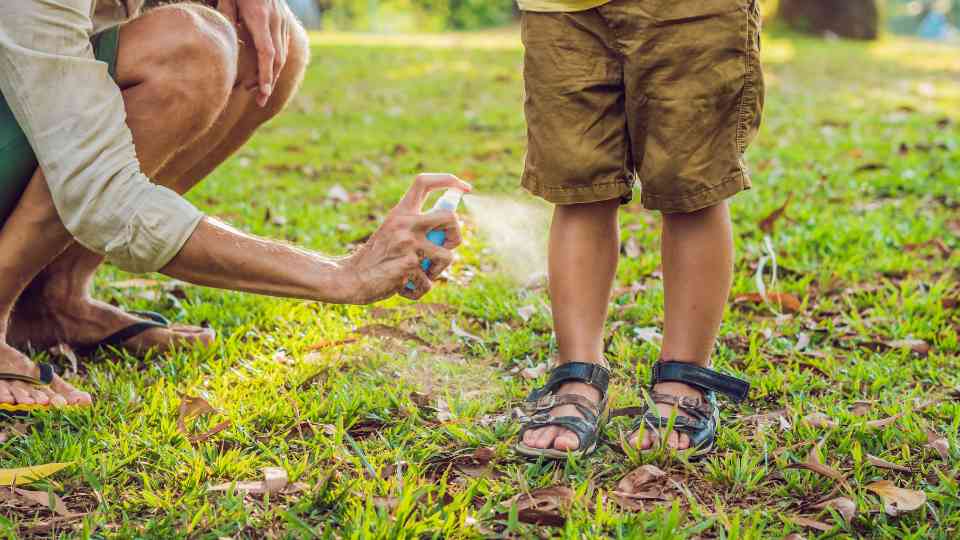 mosquito spray is a preventative measure against yellow fever